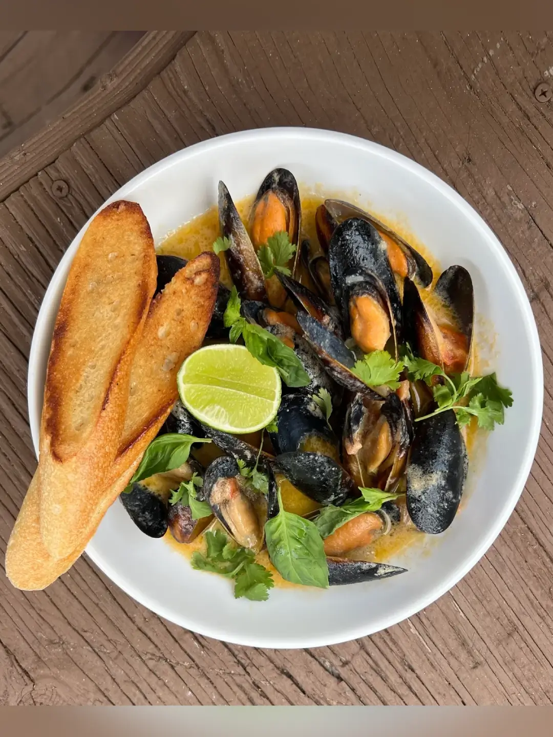 Mussels in creamy sauce with bread.